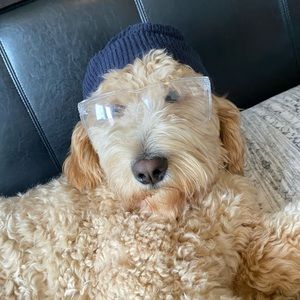 Meet your Posher, Siena